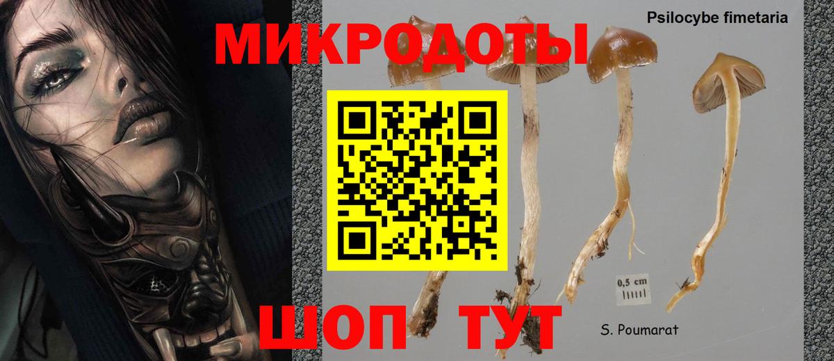 купить наркоту  Вход с VPN  Красногорск  Галлюциногенные грибы MAGIC MUSHROOMS  Галлюциногенные грибы прущие грибы 